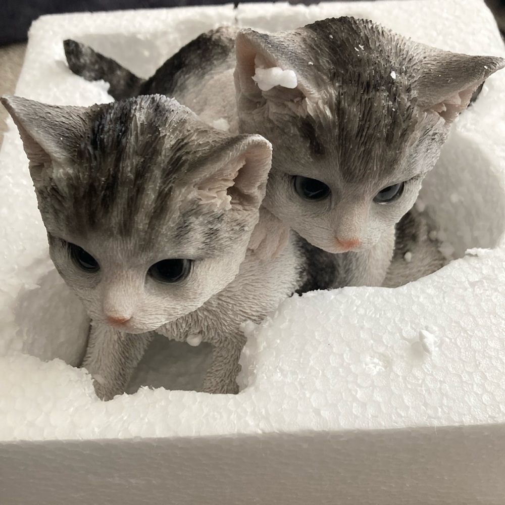 7.5inch by 7.5 inches by 7.5 inches gray playful kitten